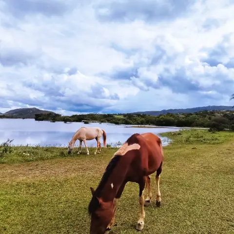 Represa de Lapinha da Serra cercada de natureza