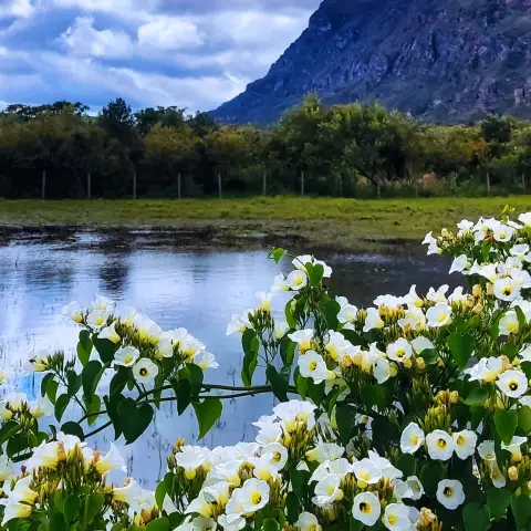 Vista da represa de Lapinha da Serra